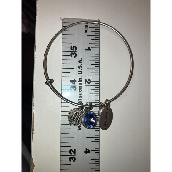 Rodan + Fields Charm Silver-Tone Bangle Bracelet! - Picture 12 of 15